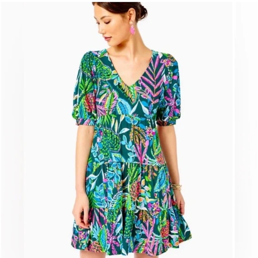 Lilly Pulitzer Chiara Dress - M
